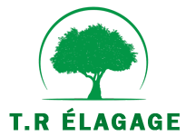 T.R élagage